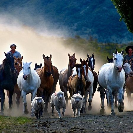 Estancia Nibepo Aike Colonia Francisco Perito Moreno Buitenkant foto