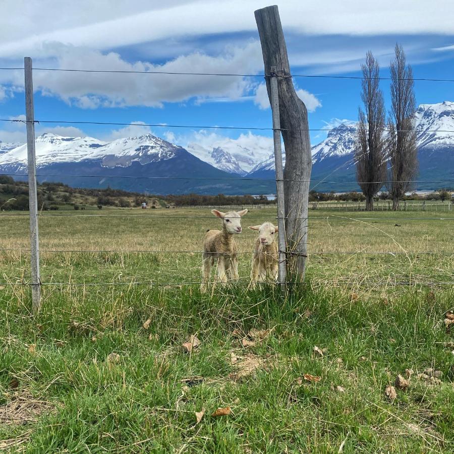 Estancia Nibepo Aike Colonia Francisco Perito Moreno Buitenkant foto