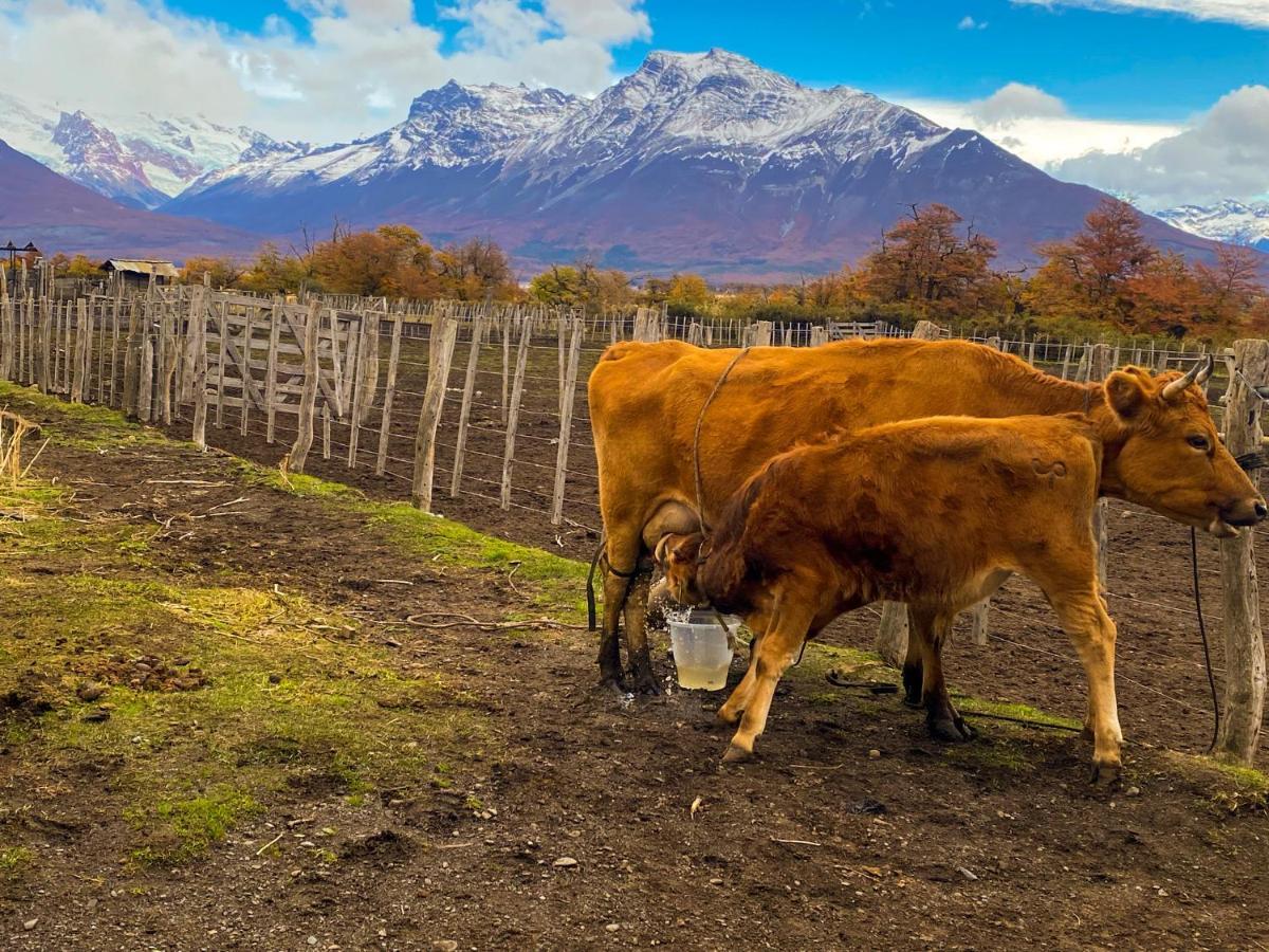 Estancia Nibepo Aike Colonia Francisco Perito Moreno Buitenkant foto