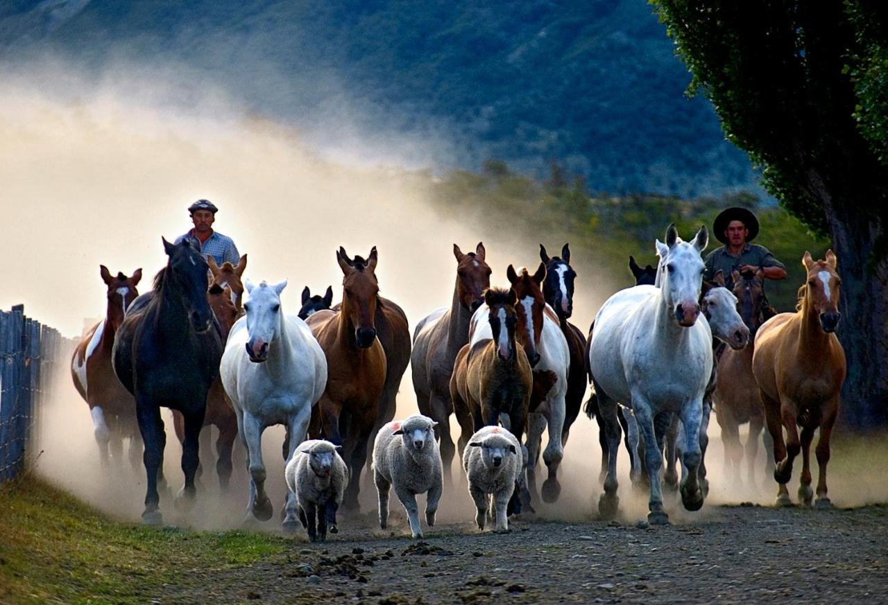 Estancia Nibepo Aike Colonia Francisco Perito Moreno Buitenkant foto